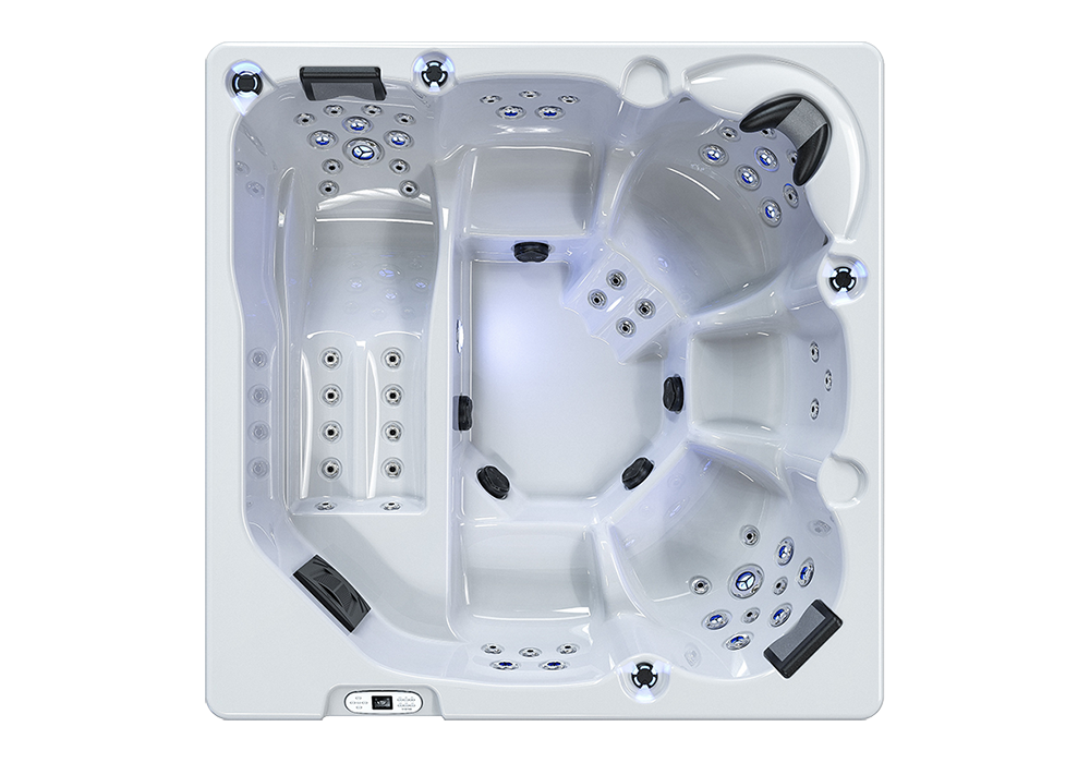 Spa Venus 6 places V03
